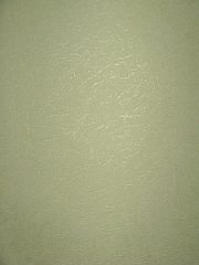 4106
