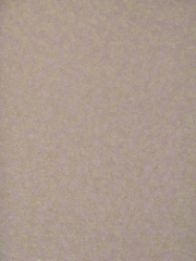 51905