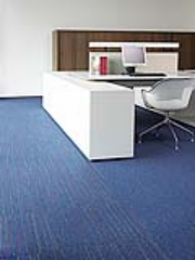 First Lines 576 - First 504