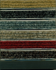 Door mar colors