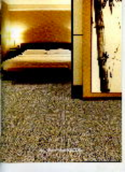 Thảm cuộn Haima NB6221-92102