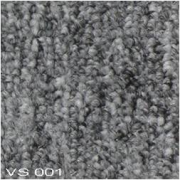 VS001