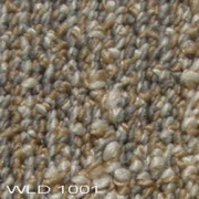 WLD 1001