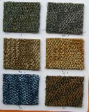 Holland series actual picture